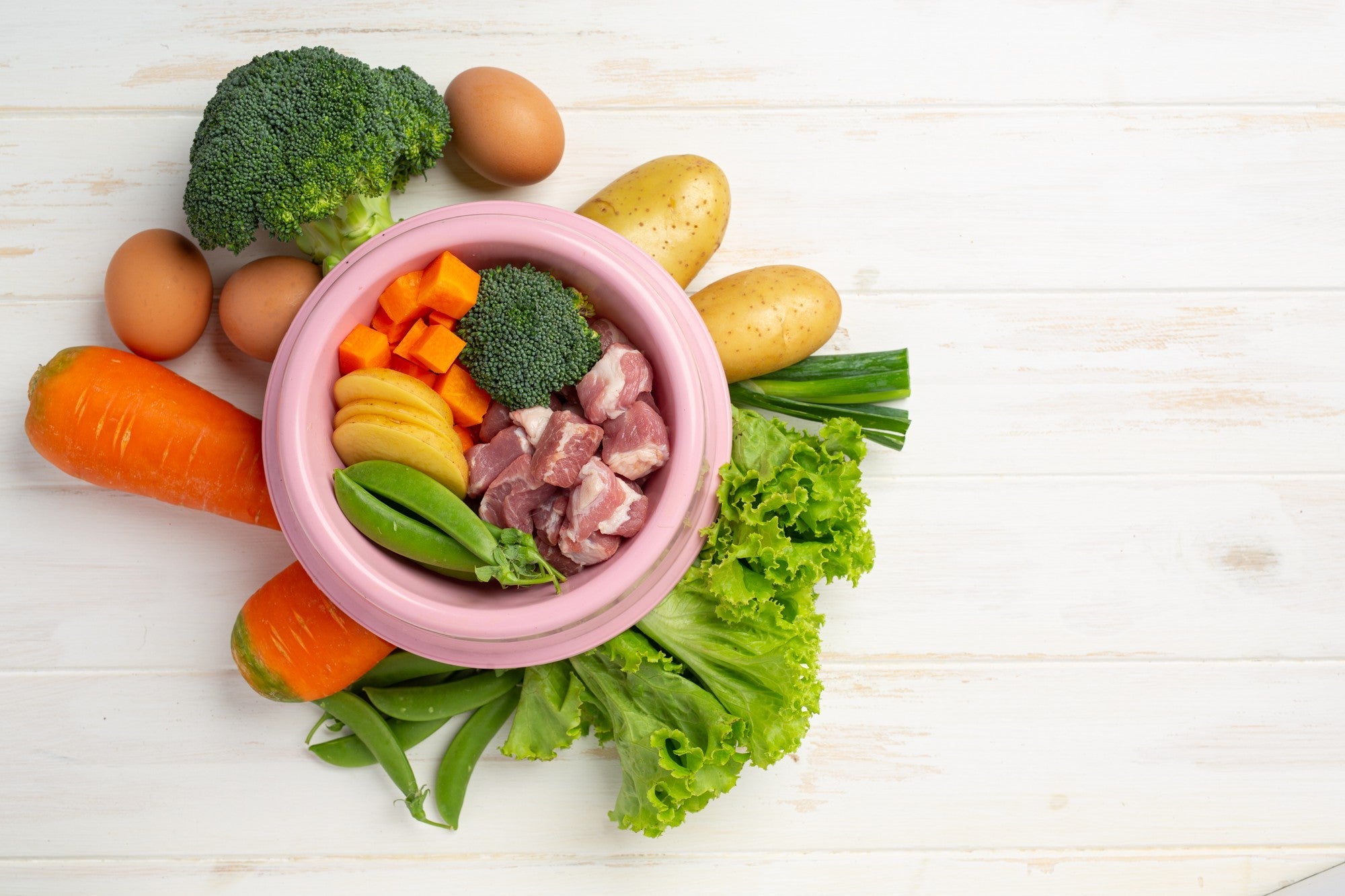 suplemento-alimentação-natural-pets-nutroplus