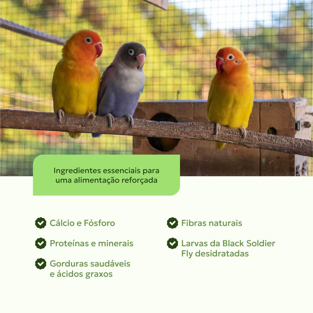 alimento-larva-desidratada-aves-ingredientes-nutroplus