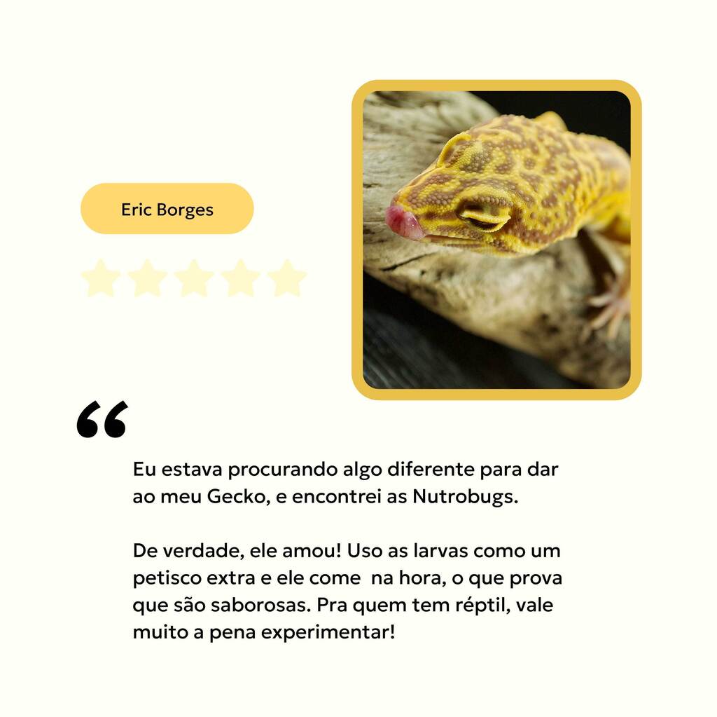 alimento-larva-desidratada-repteis-avaliacao-nutroplus