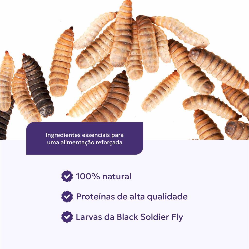 farinha-larvas-natural-animais-ingredientes-nutroplus