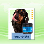 manutencao-caes-adultos-nutroplus