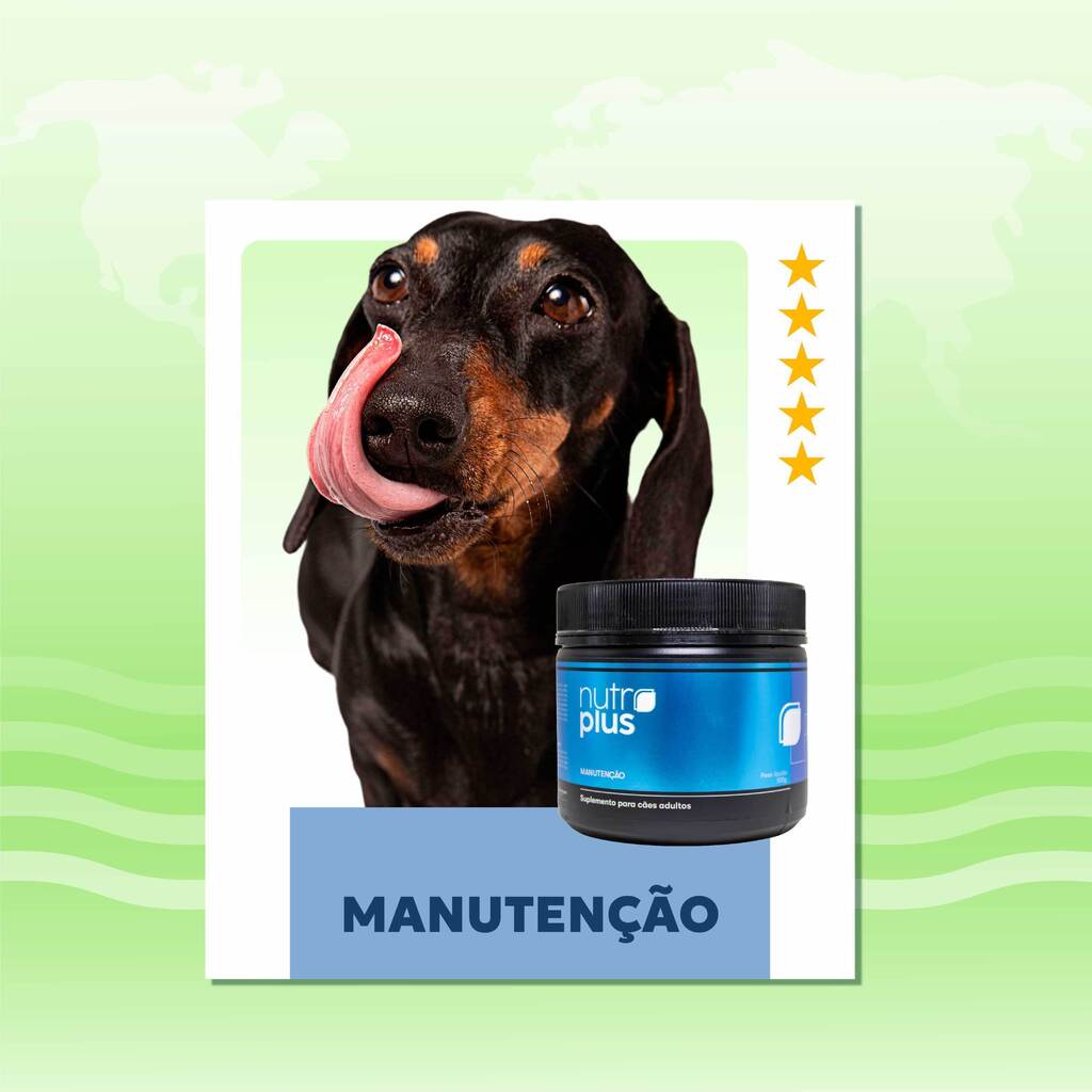 manutencao-caes-adultos-nutroplus