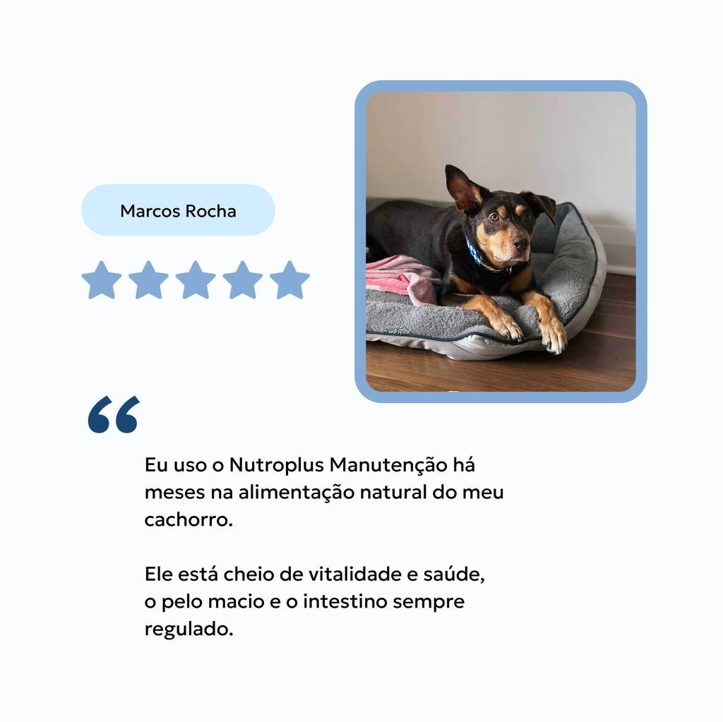 manutencao-feedback-nutroplus