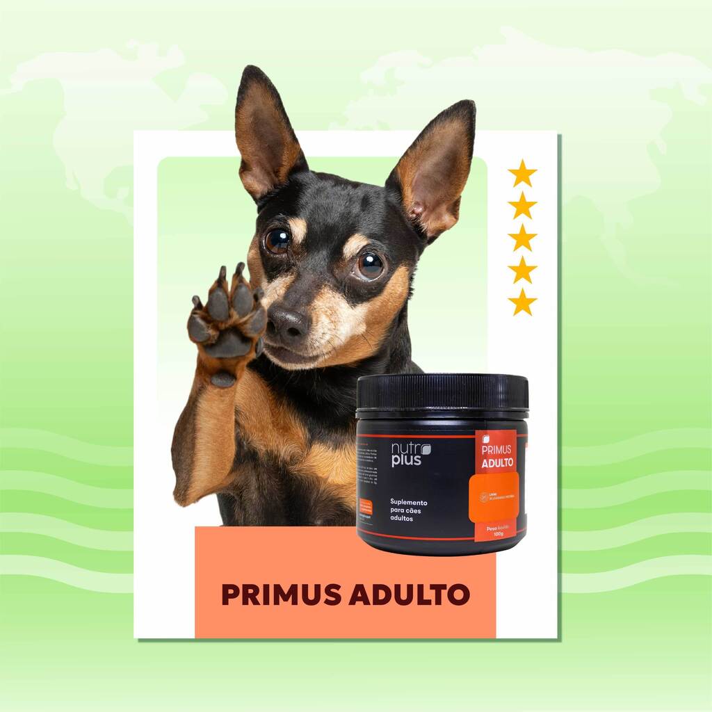 suplemento-alimentacao-natural-caes-adultos-primus-100g-nutroplus