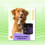 suplemento-alimentacao-natural-caes-adultos-zero-fosforo-nutroplus