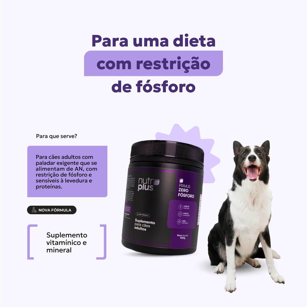 suplemento-alimentacao-natural-caes-adultos-zerof-nutroplus