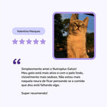 suplemento-gatos-avaliacao-nutroplus