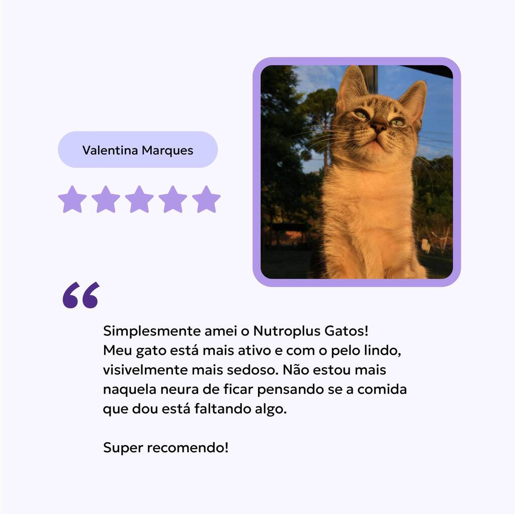 suplemento-gatos-avaliacao-nutroplus