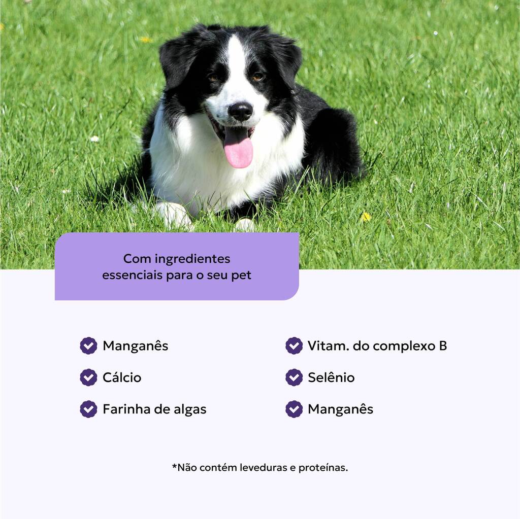 suplemento-natural-caes-adultos-zero-fosforo-ingredientes-beneficios-nutroplus