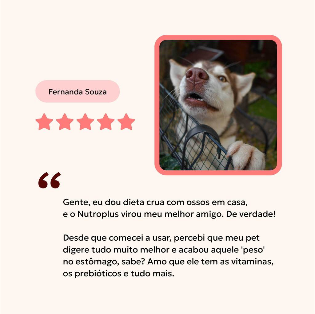 suplemento-natural-caes-gatos-avaliacao-nutroplus