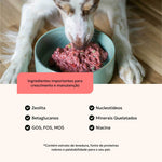 suplemento-natural-caes-gatos-ingredientes-nutroplus
