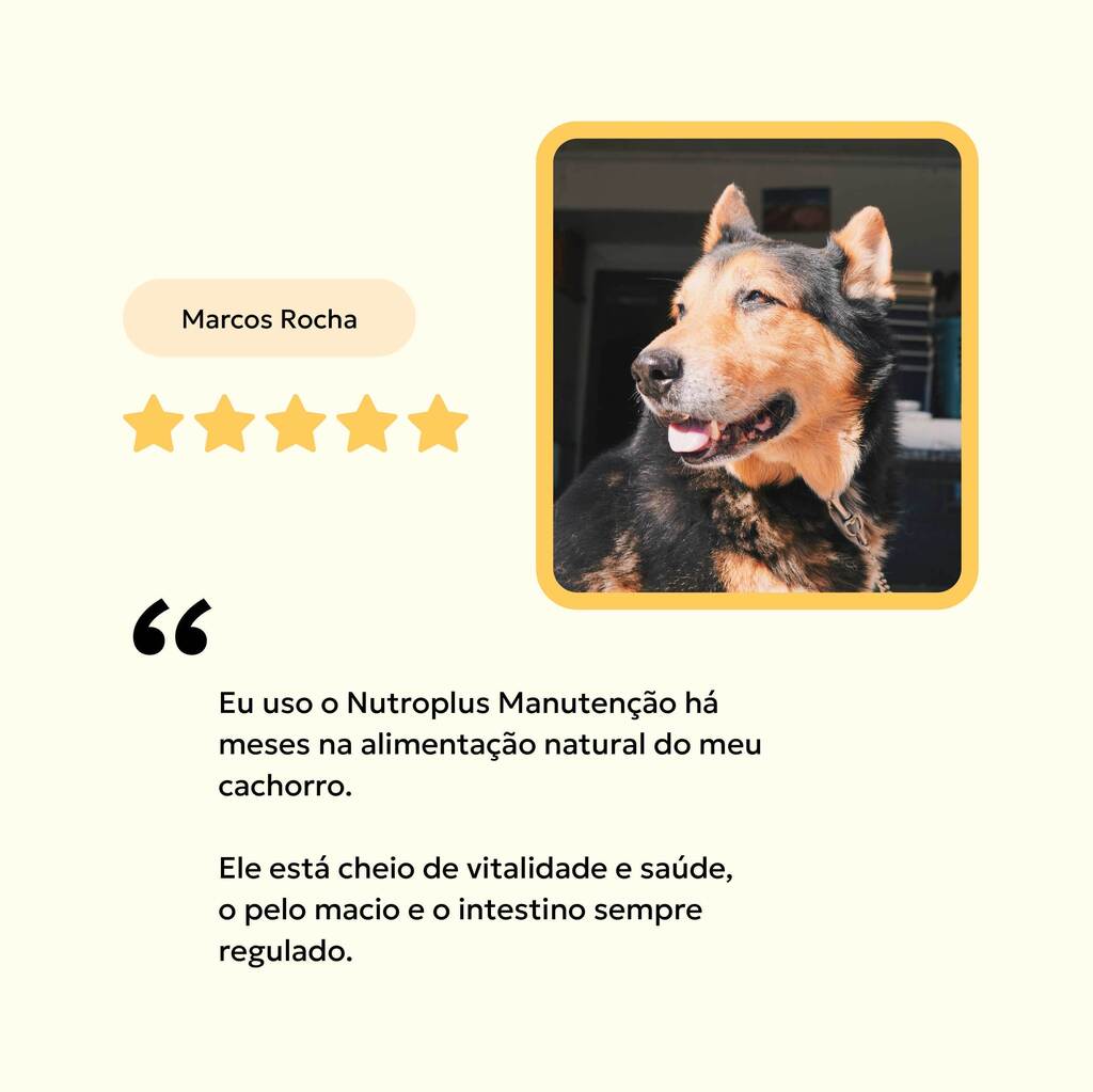 suplemento-natural-caes-idosos-avaliacoes-nutroplus