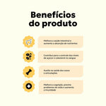 suplemento-natural-caes-idosos-beneficios-nutroplus
