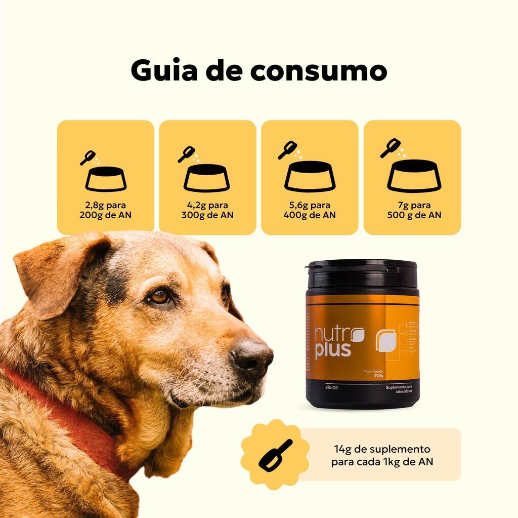 suplemento-natural-caes-idosos-guia-consumo-nutroplus