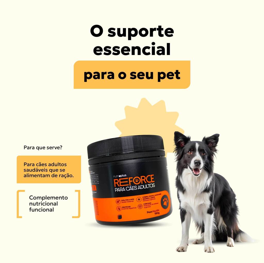 suplemento-racao-caes-adultos-complemento-nutroplus