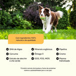 suplemento-racao-caes-adultos-ingredientes-nutroplus