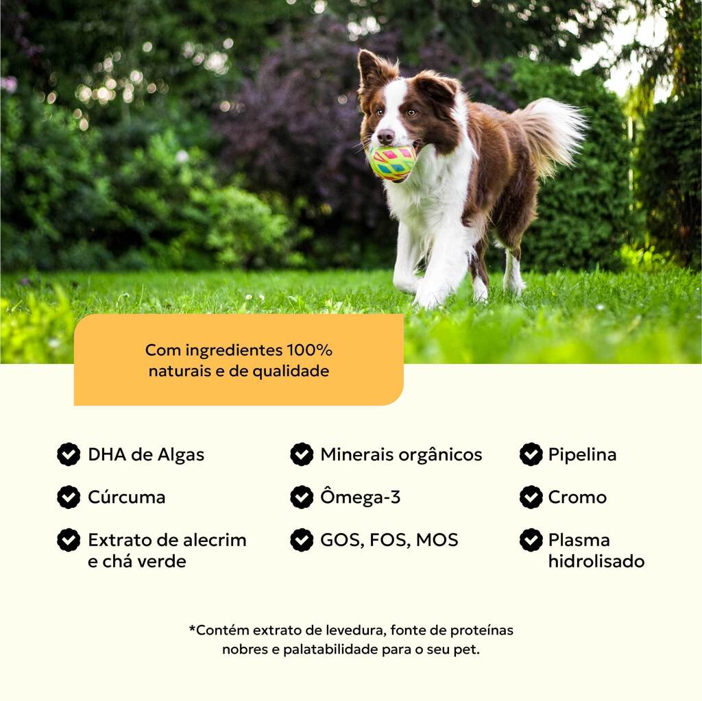 suplemento-racao-caes-adultos-ingredientes-nutroplus