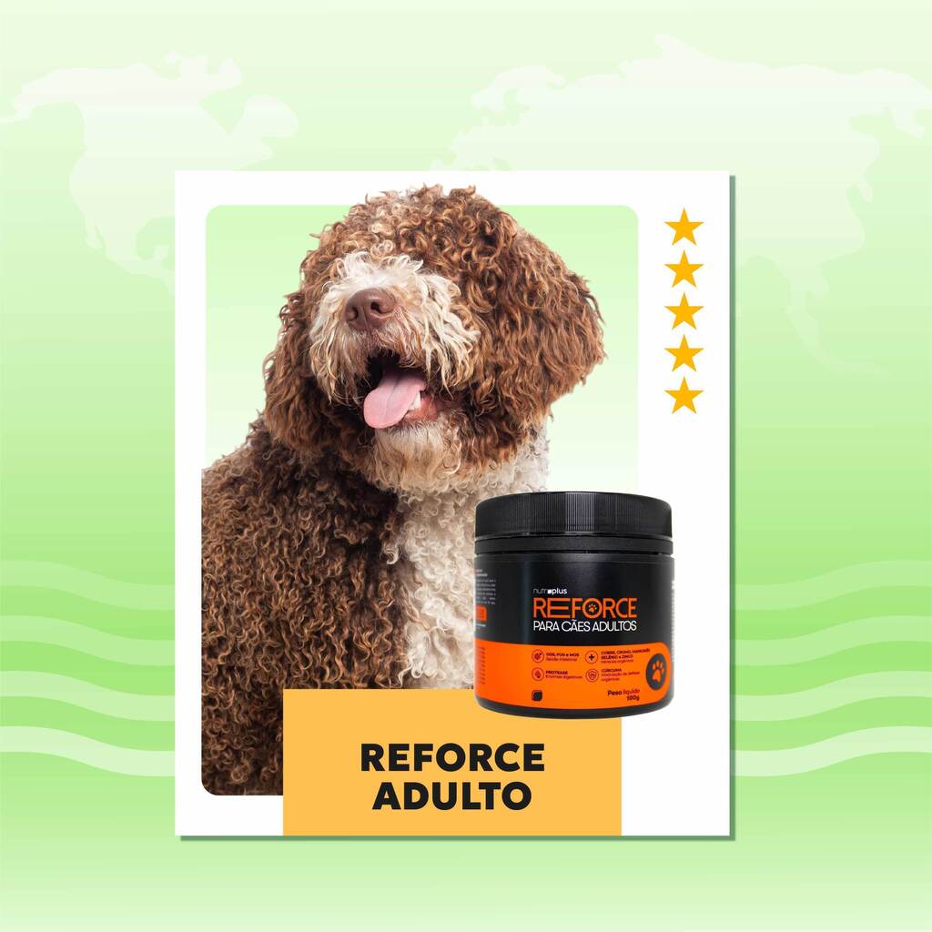 suplemento-racao-caes-adultos-reforce-nutroplus