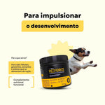 suplemento-racao-caes-filhotes-reforce-crescimento-nutroplus