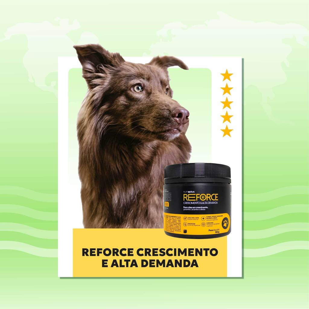 suplemento-ração-caes-filhotes-reforce-nutroplus