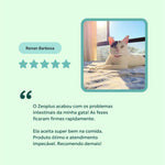 suplemento-saude-intestinal-caes-gatos-avaliacao-nutroplus