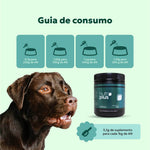 suplemento-saude-intestinal-caes-gatos-consumo-nutroplus