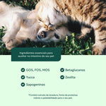 suplemento-saude-intestinal-caes-gatos-ingredientes-nutroplus