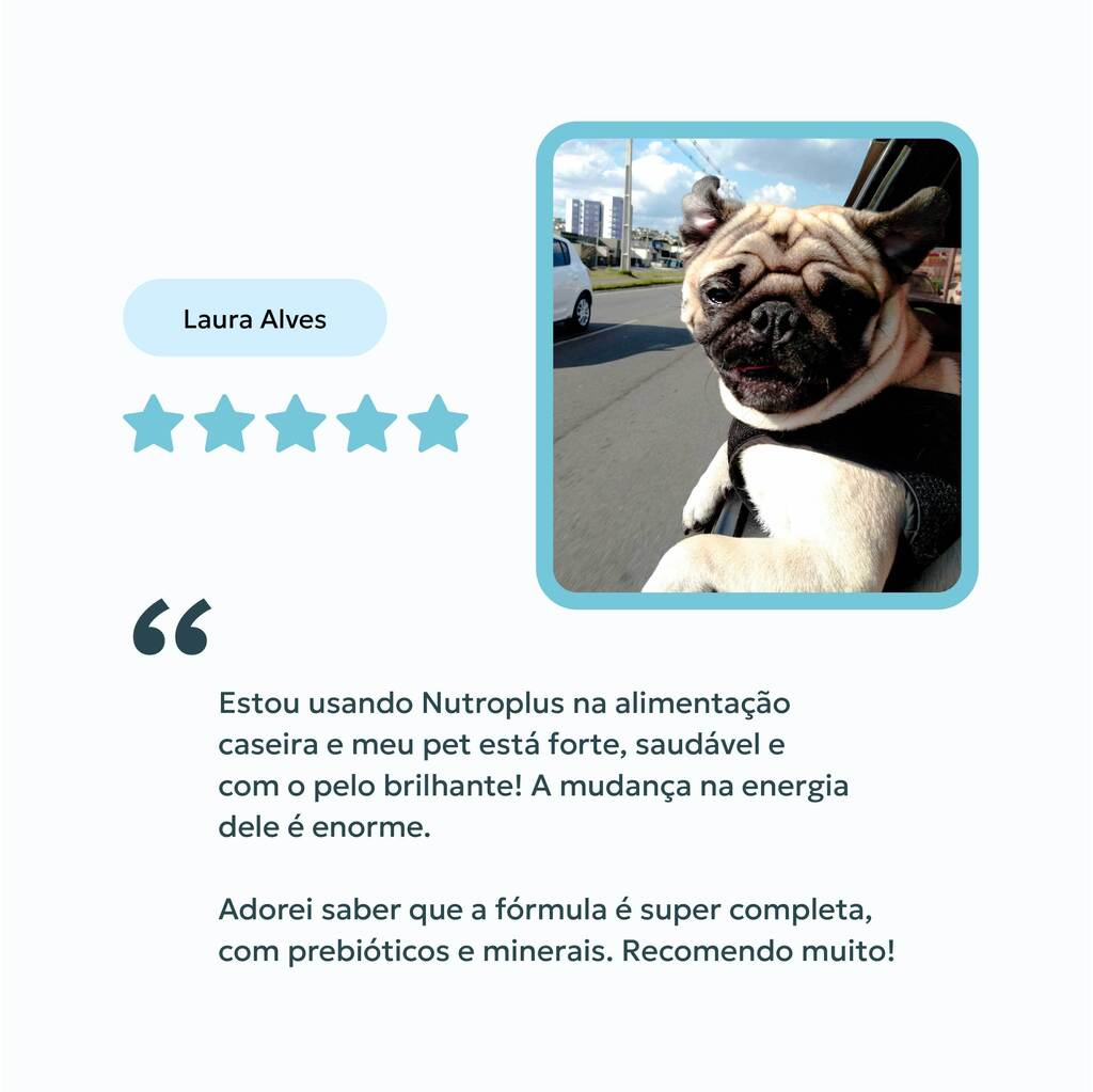 suplemento-zero-fosforo-caes-avaliacao-nutroplus